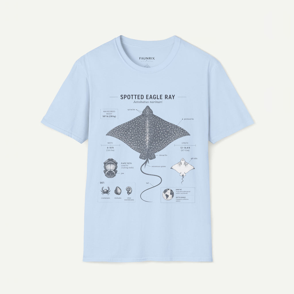 Spotted Eagle Ray Anatomy T-Shirt — Marine Life Graphic Tee