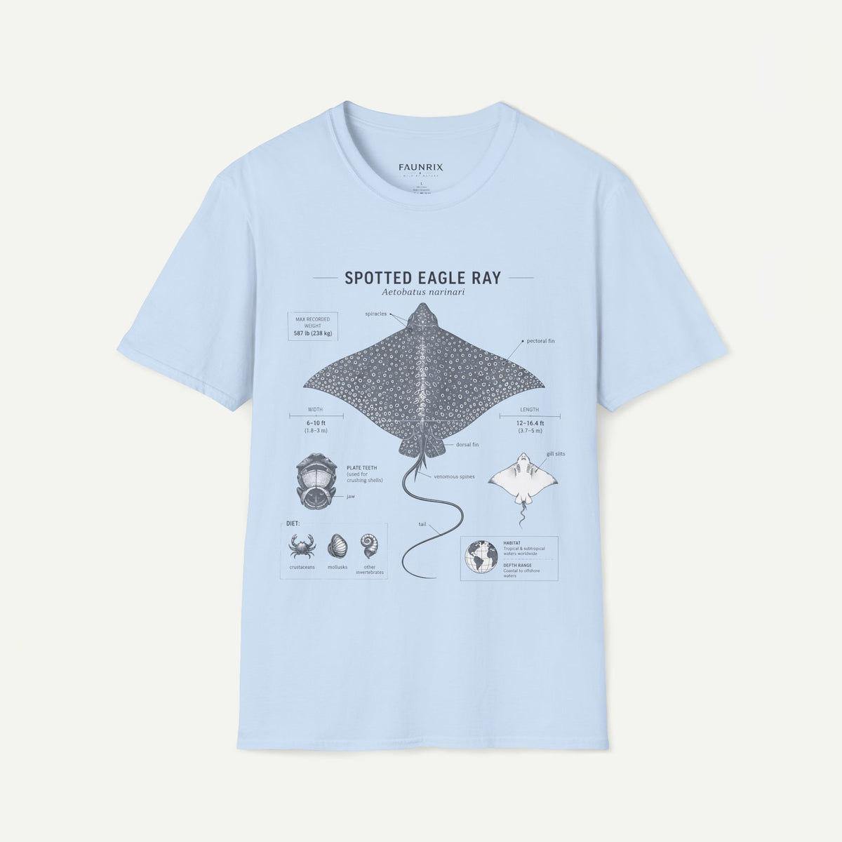 Spotted Eagle Ray Anatomy T-Shirt — Marine Life Graphic Tee