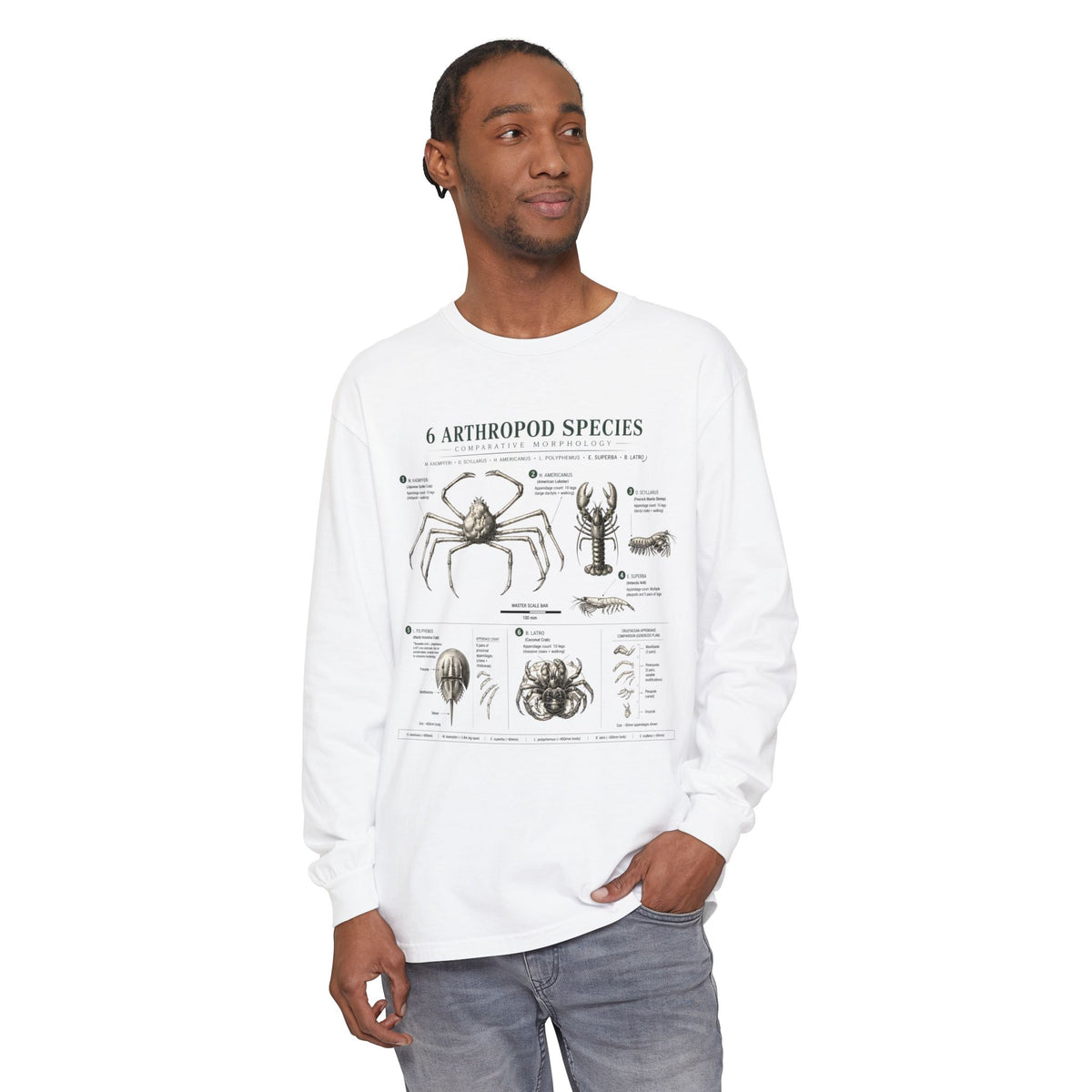 Arthropod Species Chart Long Sleeve Tee — Vintage Scientific Insect Diagram Shirt
