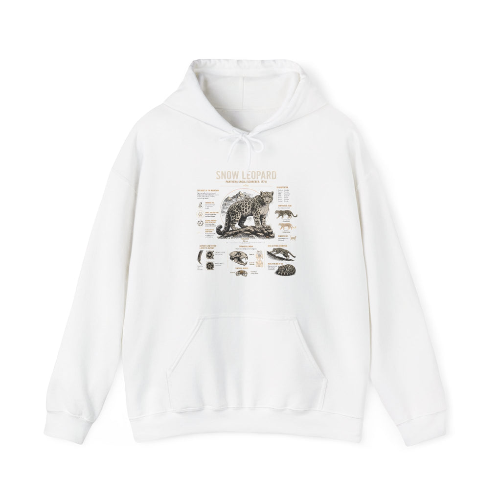 Bear Anatomy Hoodie — Vintage Wildlife Illustration Sweatshirt