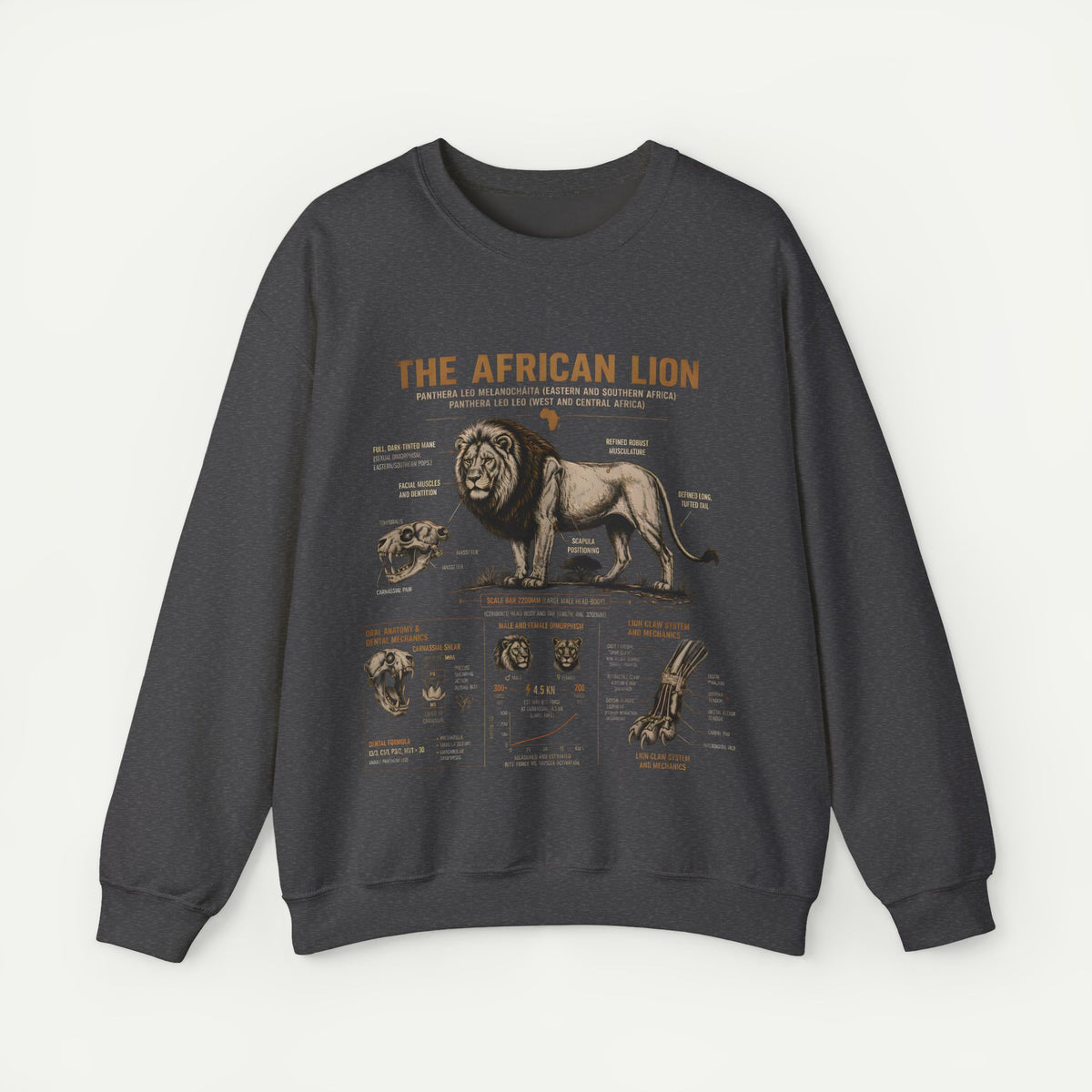 African Lion Anatomy Crewneck Sweatshirt