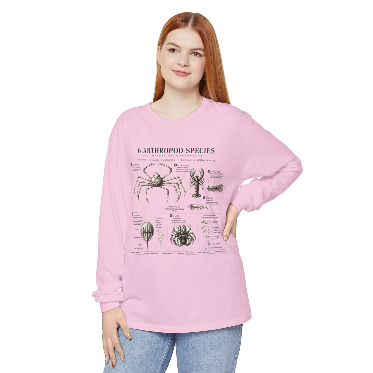 Arthropod Species Chart Long Sleeve Tee — Vintage Scientific Insect Diagram Shirt