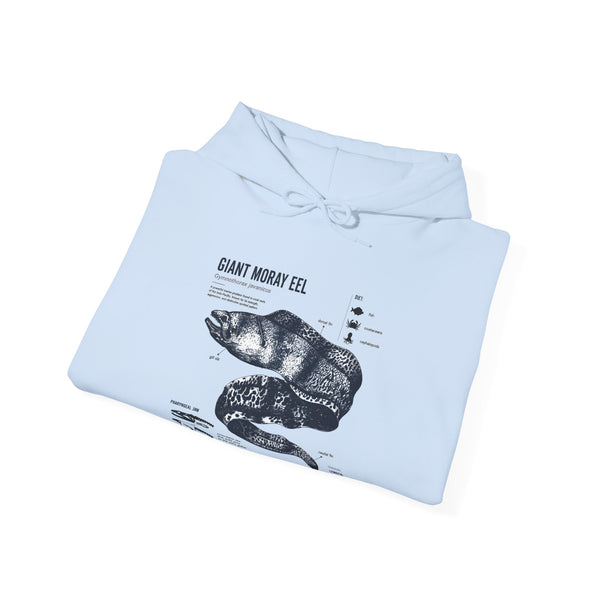 Sea Snake Diagram Hoodie - Vintage Scientific Illustration Sweatshirt