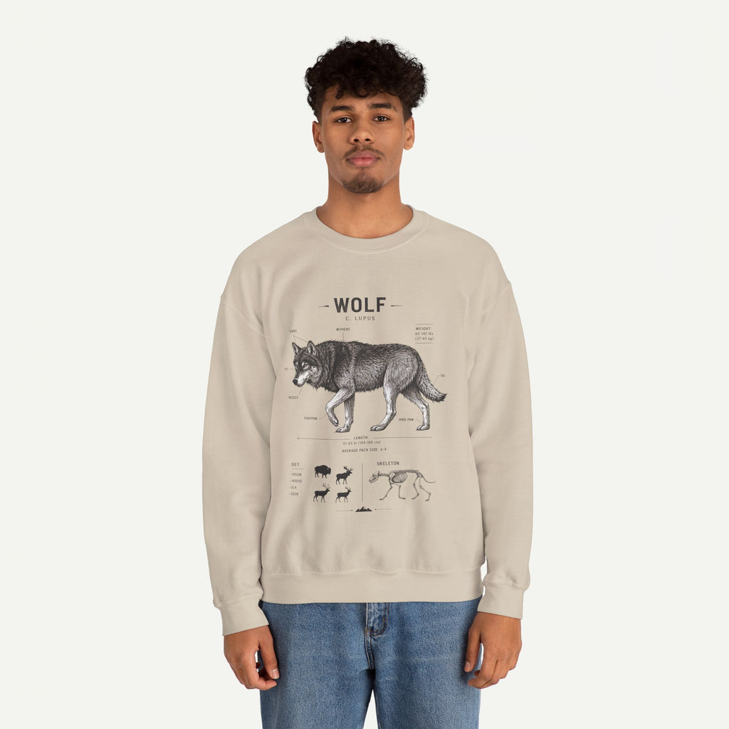 Wolf Anatomy Crewneck Sweatshirt