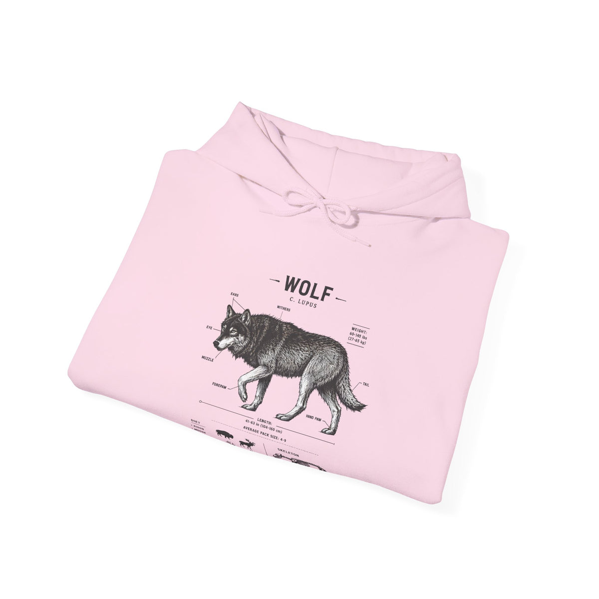 Wolf Anatomy Hoodie – Vintage Wildlife Diagram Sweatshirt