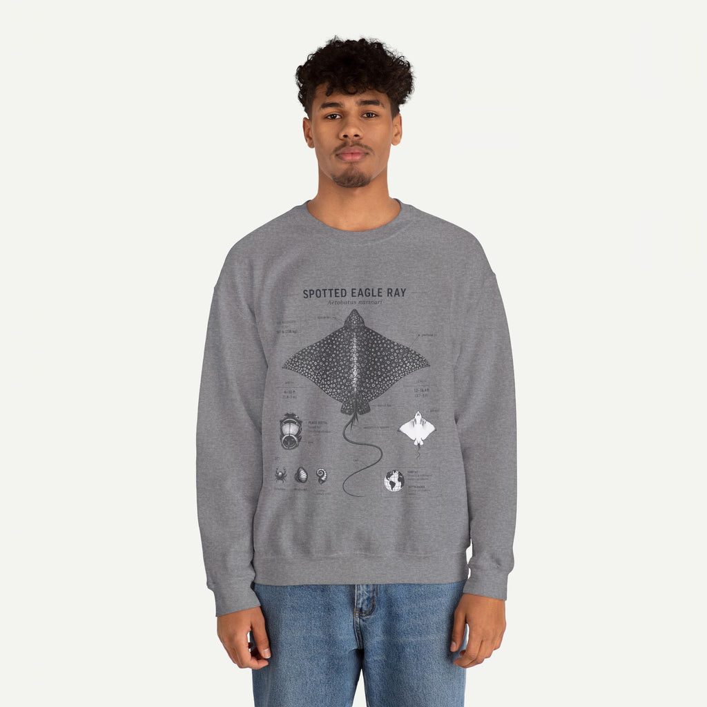 Spotted Eagle Ray Anatomy Sweatshirt – Marine Biology Illustration