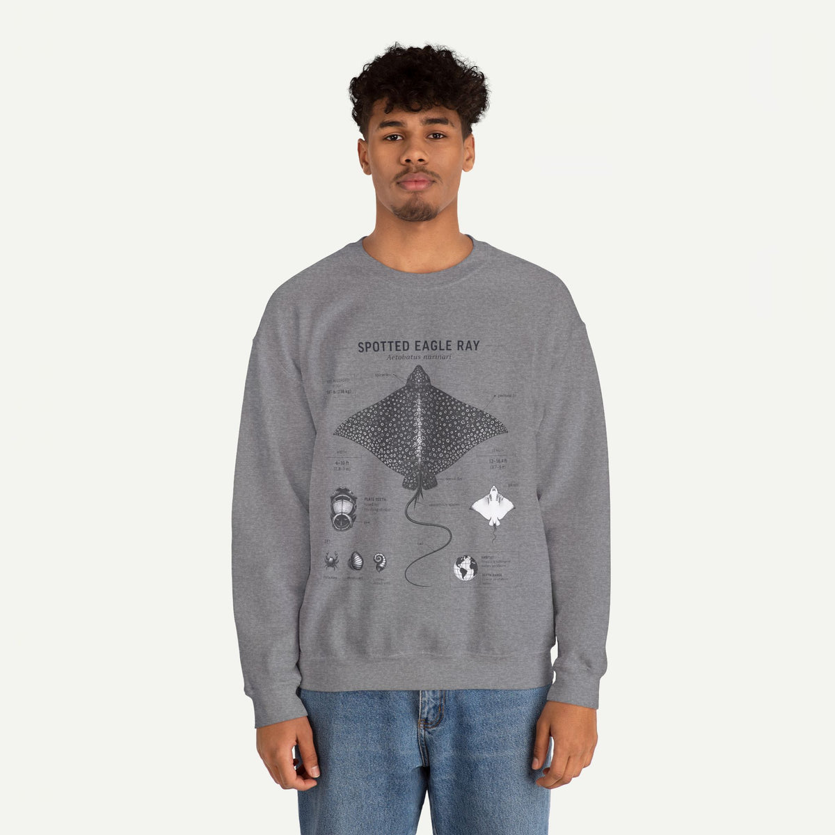 Spotted Eagle Ray Anatomy Sweatshirt – Marine Biology Illustration