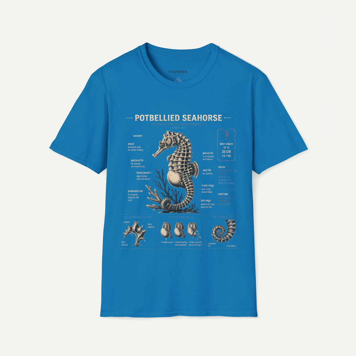 Seahorse Anatomy T-Shirt — Vintage Potbellied Seahorse Illustration Main image