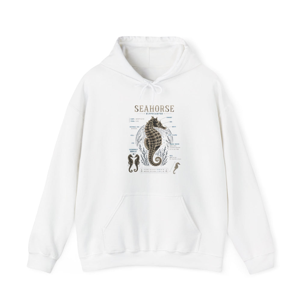 Seahorse Anatomy Hoodie — Vintage Marine Illustration Sweatshirt