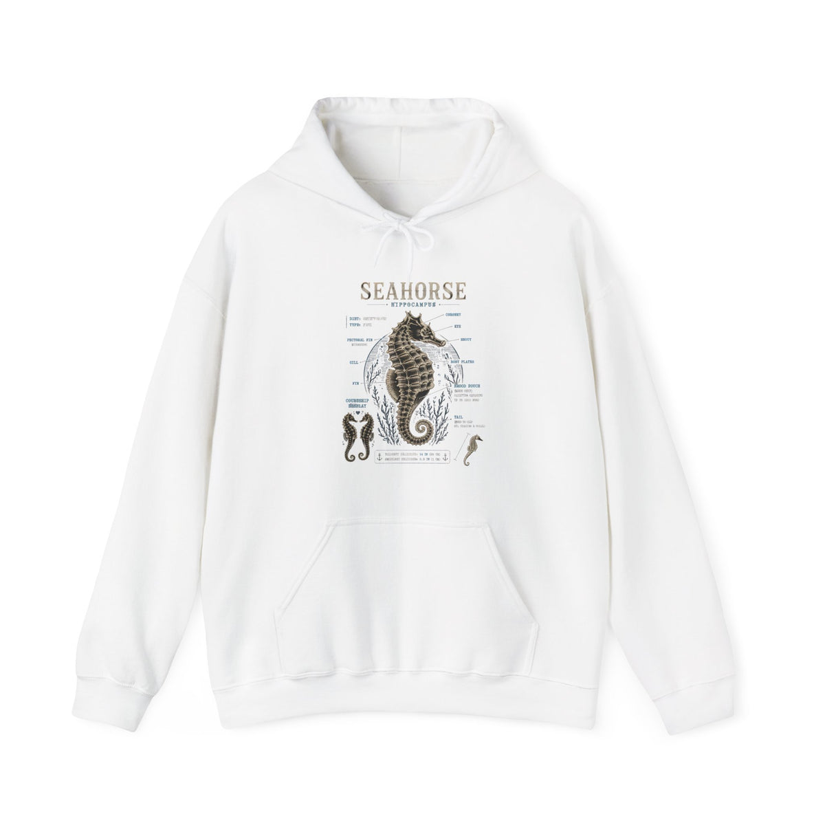 Seahorse Anatomy Hoodie — Vintage Marine Illustration Sweatshirt