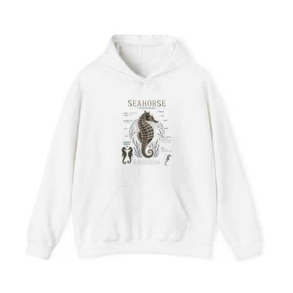Seahorse Anatomy Hoodie — Vintage Marine Illustration Sweatshirt