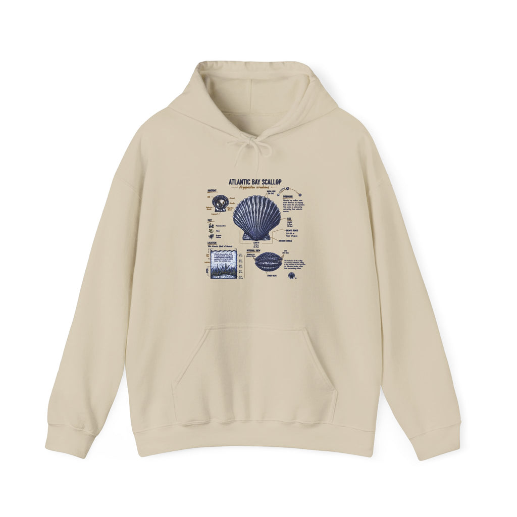 Seashell Anatomy Hoodie – Nautical Beach Diagram Sweatshirt