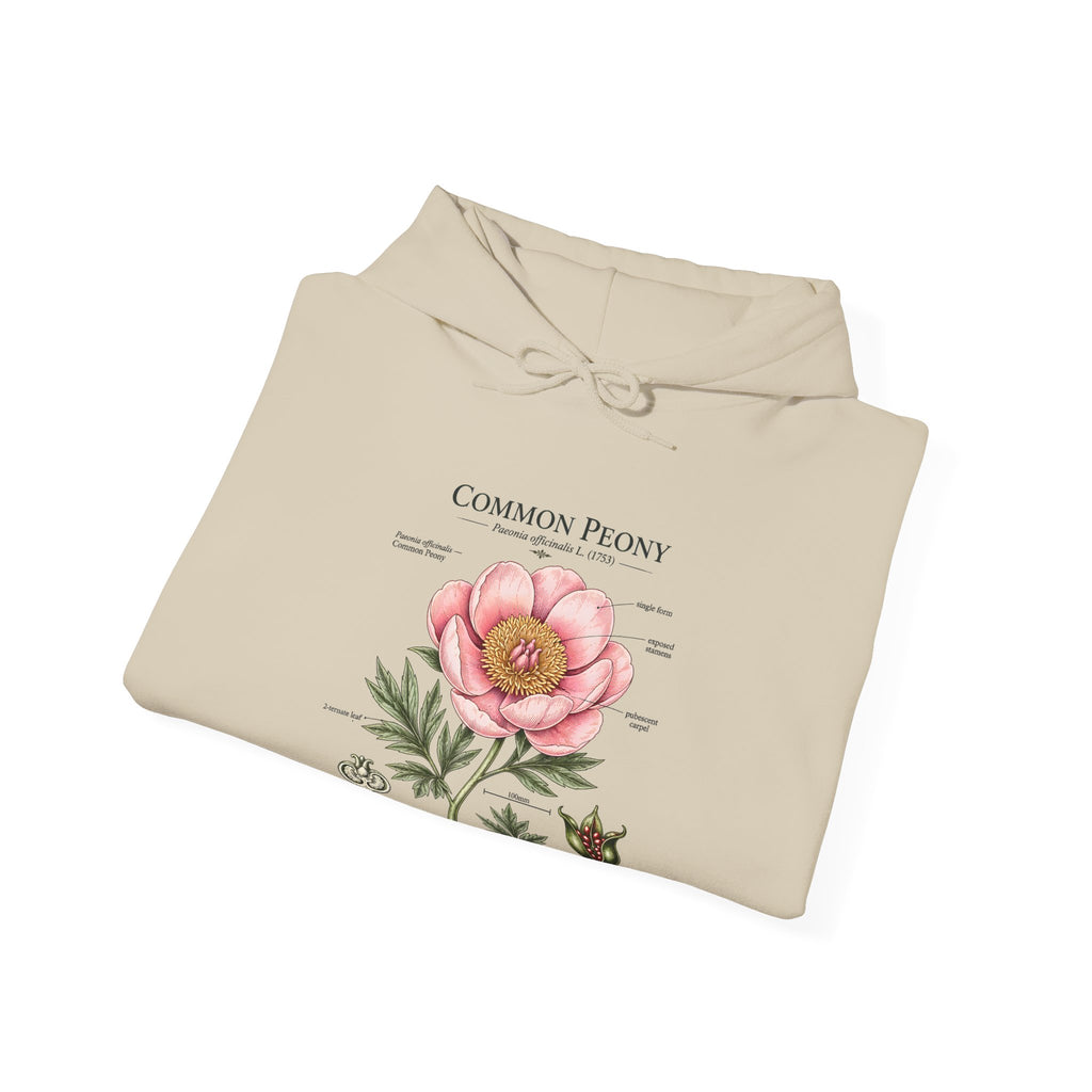 Peony Botanical Hoodie — "Common Peony" Vintage Floral Diagram Sweatshirt