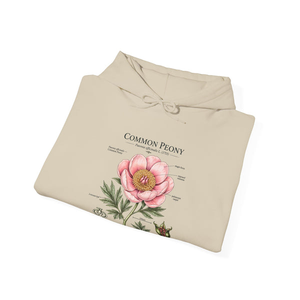 Peony Botanical Hoodie — "Common Peony" Vintage Floral Diagram Sweatshirt