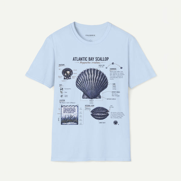 Scallop Shell Anatomy T‑Shirt — Atlantic Bay Scallop Illustration Tee