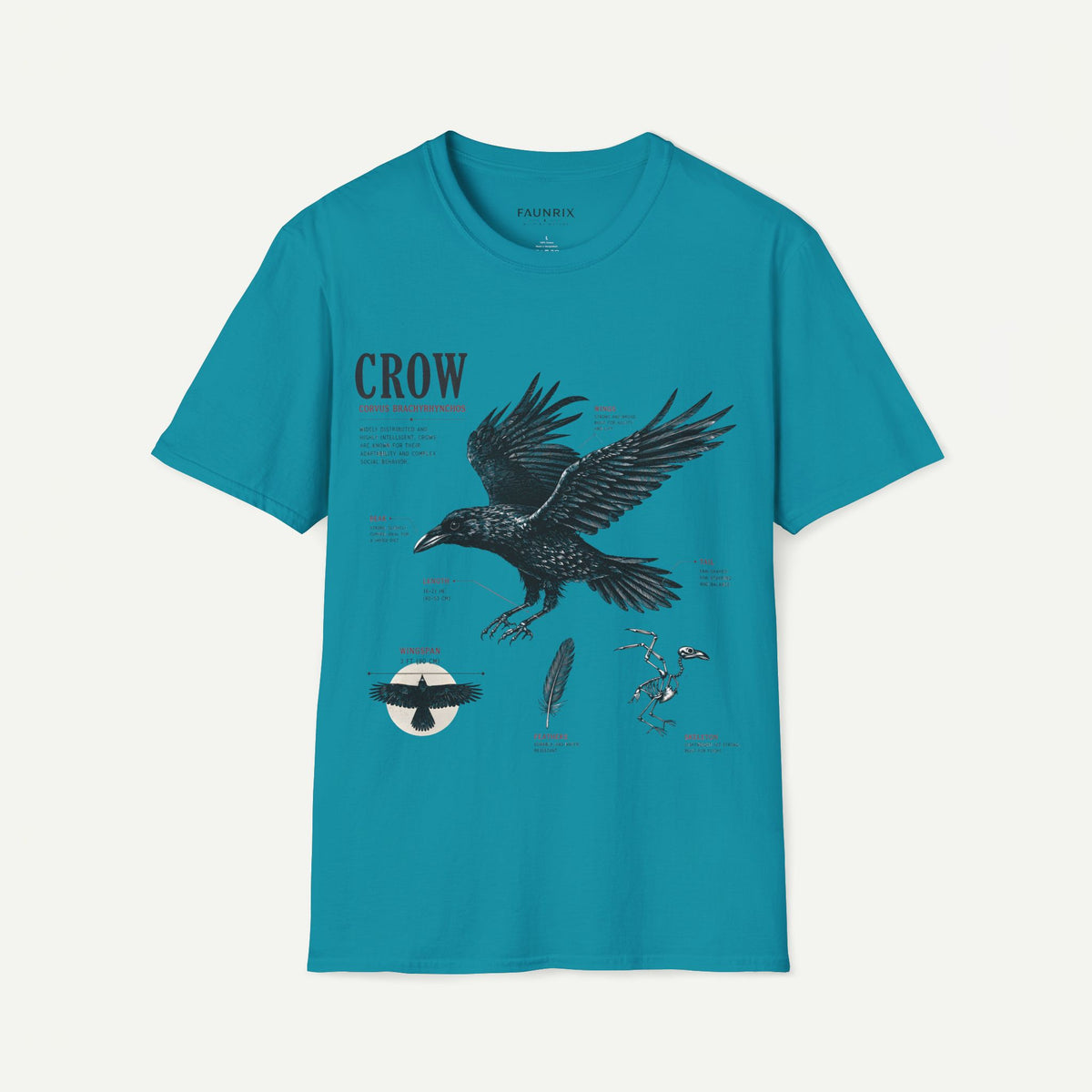Crow Anatomy Graphic T-Shirt — Vintage Raven Illustration Tee