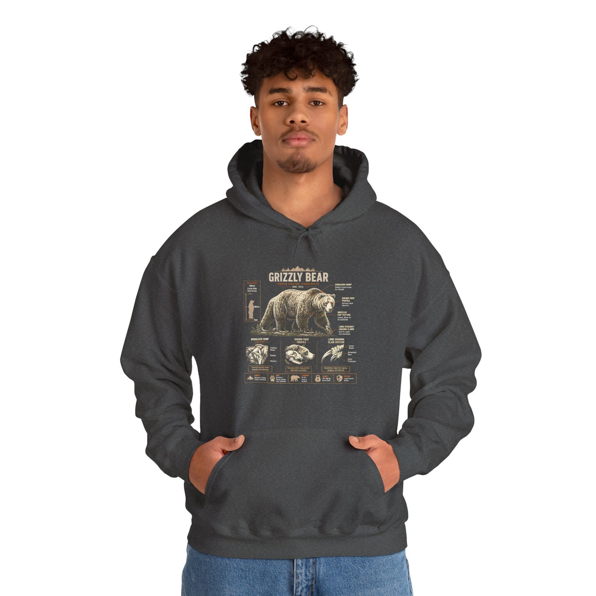 Hoodie — Vintage Bear Anatomy Graphic Hoodie