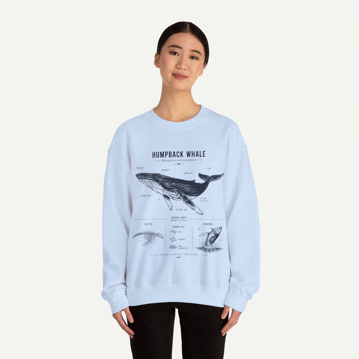 Humpback Whale Anatomy Sweatshirt