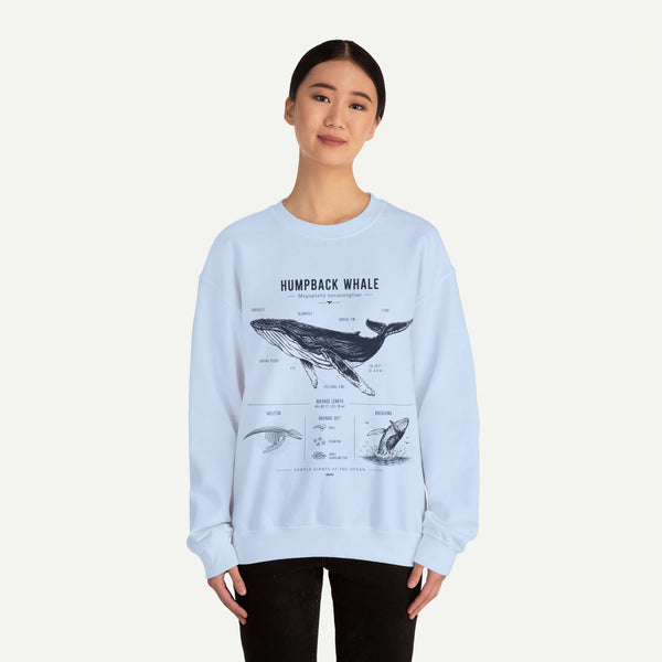 Humpback Whale Anatomy Sweatshirt