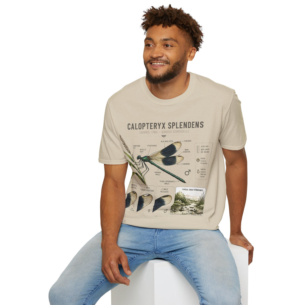 Calopteryx Splendens Anatomy T-Shirt