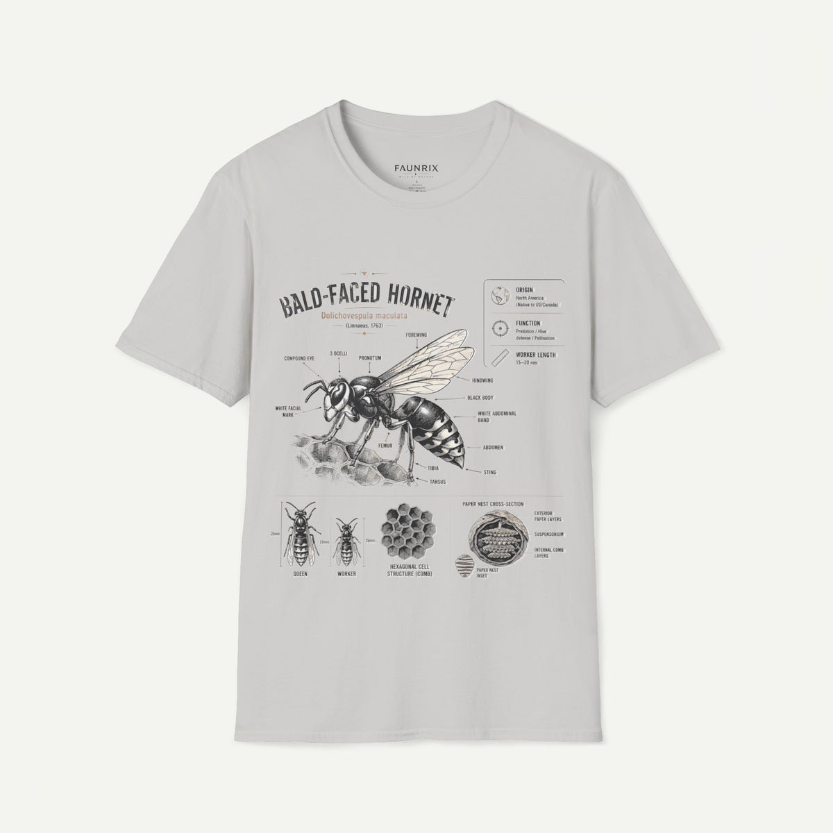 Bald-Faced Hornet Anatomy T-Shirt - Vintage Entomology Illustration