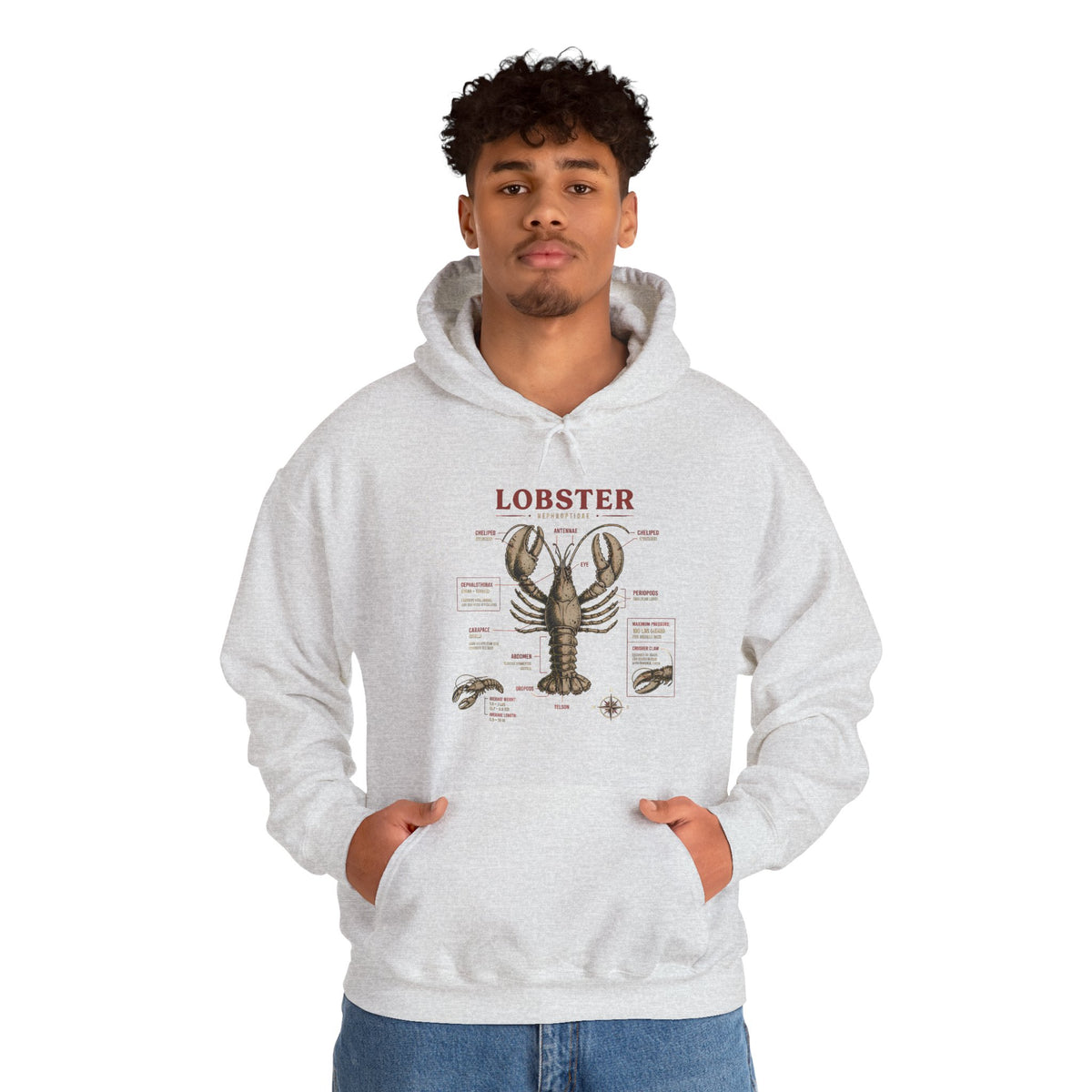 Lobster Anatomy Hoodie – Nautical Seafood Illustration Pullover