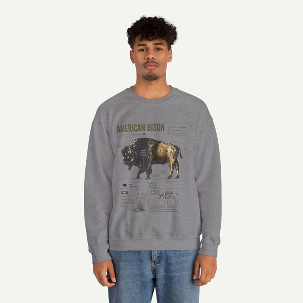 American Bison Anatomy Sweatshirt — Vintage Wildlife Illustration Crewneck