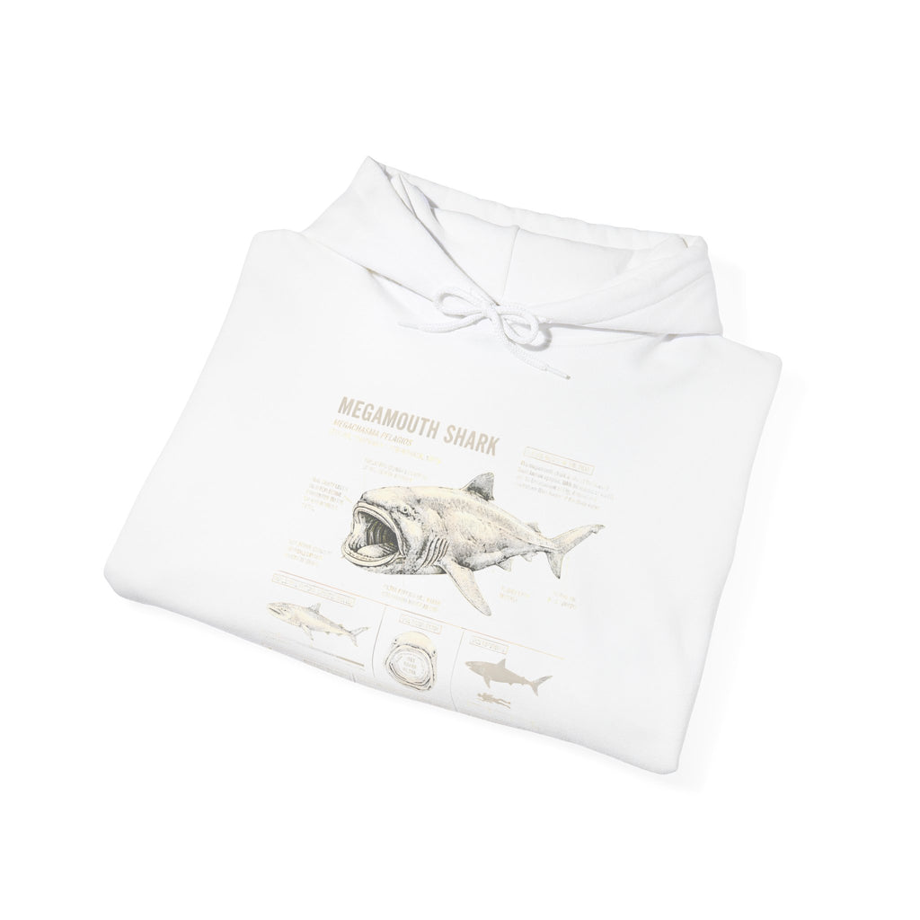 Shark Anatomy Hoodie — Vintage Megalodon Illustration Pullover