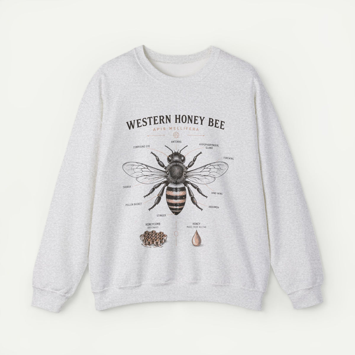 Western Honey Bee Sweatshirt — Vintage Bee Anatomy Graphic