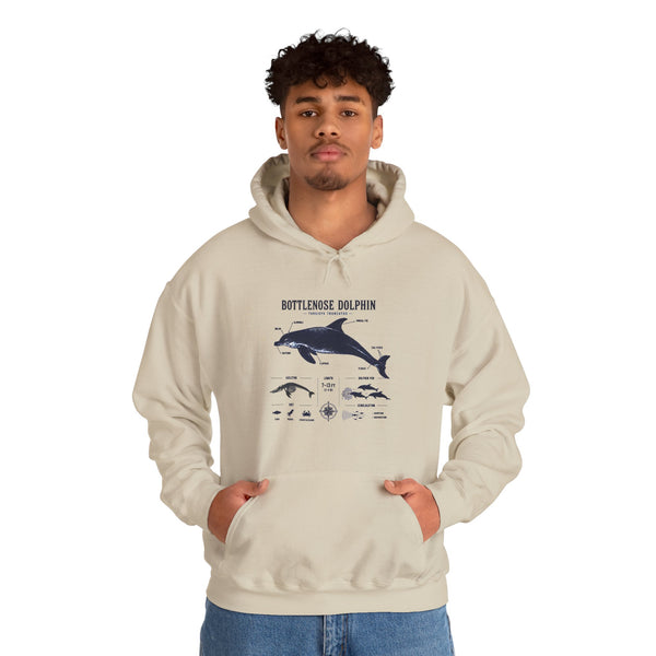 Bottlenose Dolphin Diagram Hoodie – Marine Life Anatomy Sweatshirt