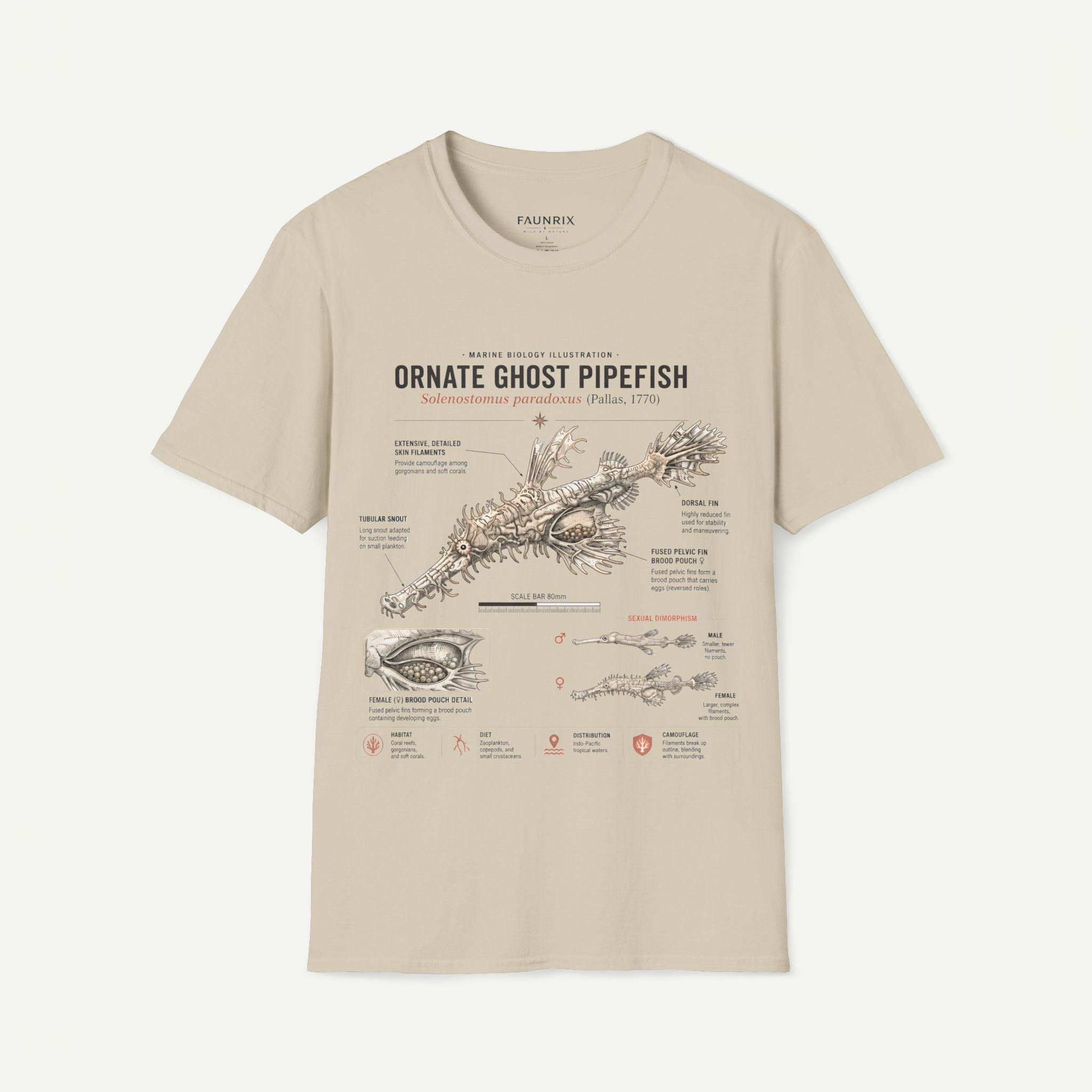 Ornate Ghost Pipefish Anatomy T-Shirt Secondary image