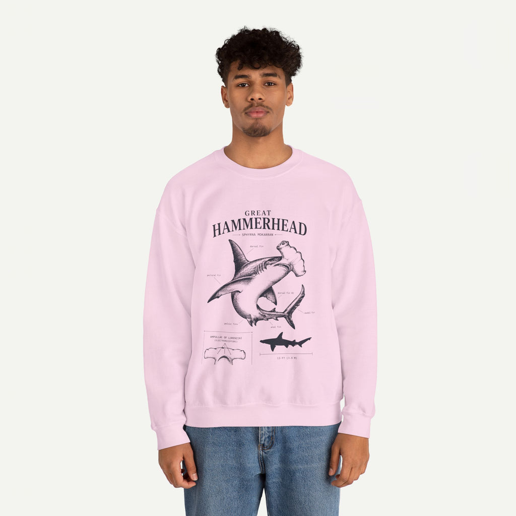Hammerhead Shark Sweatshirt – Great Hammerhead Illustration