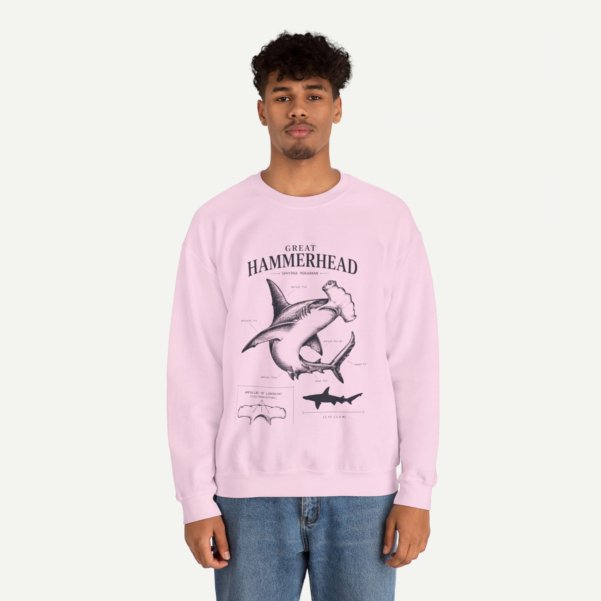 Hammerhead Shark Sweatshirt – Great Hammerhead Illustration