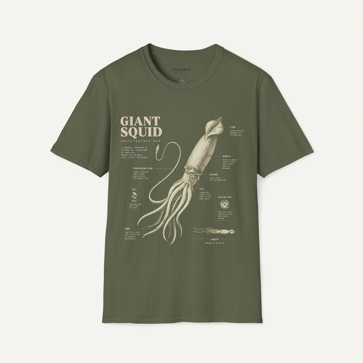 Giant Squid Anatomy T-Shirt — Vintage Marine Biology Graphic Tee
