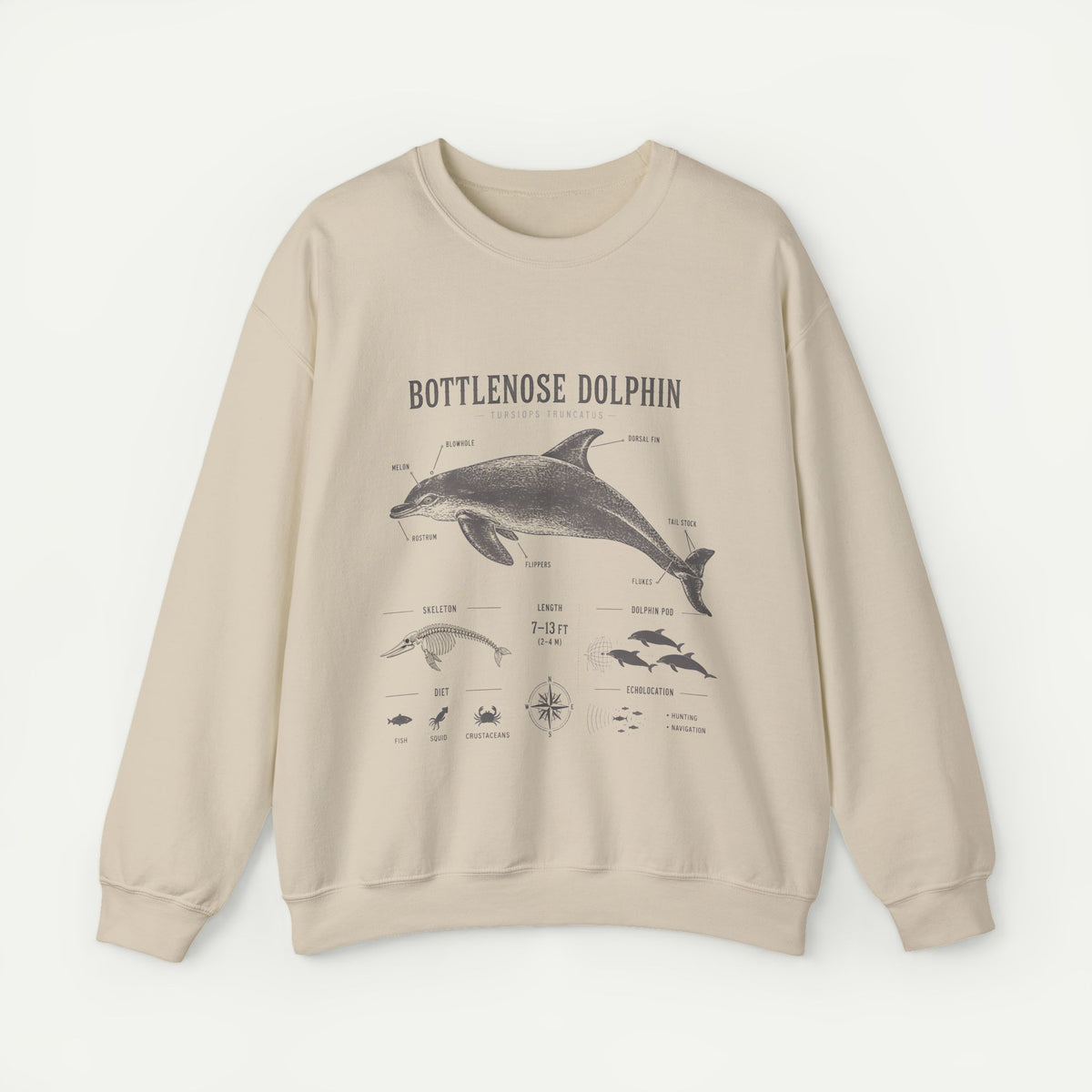 Bottlenose Dolphin Sweatshirt – Marine Life Educational Graphic