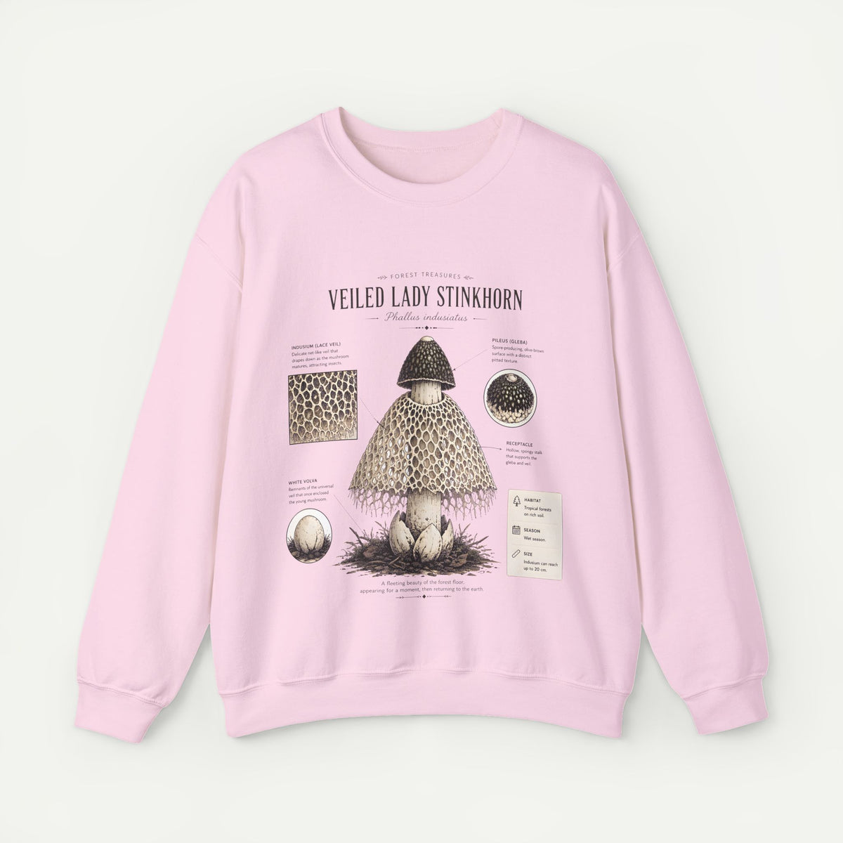 Veiled Lady Stinkhorn Mushroom Crewneck Sweatshirt — Botanical Mycology Graphic