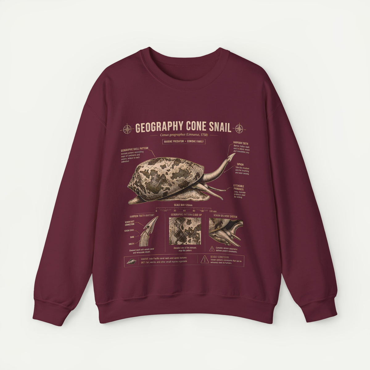 Geography Cone Snail Anatomy Sweatshirt
