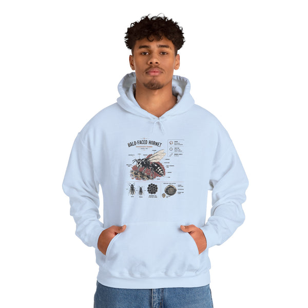 Bee Anatomy Hoodie — Bald-Faced Hornet Illustration & Diagram Sweatshirt