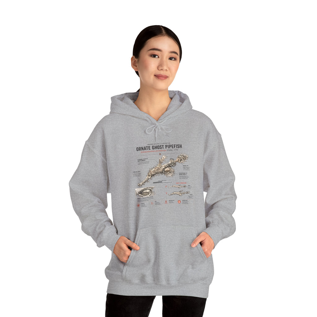 Ornate Ghost Pipefish Anatomy Hoodie — Scientific Diagram Pullover