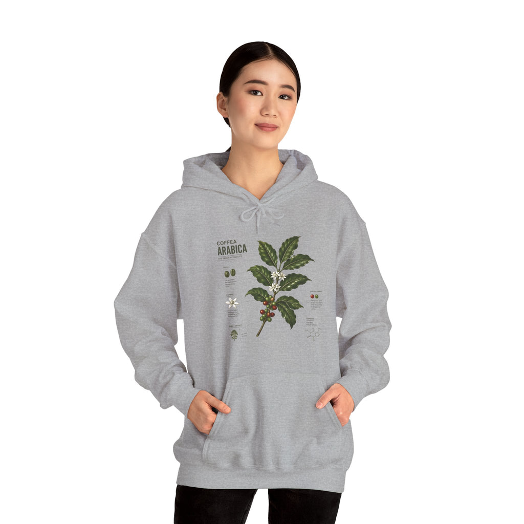 Coffee Plant Hoodie — Coffea Arabica Botanical Illustration Sweatshirt