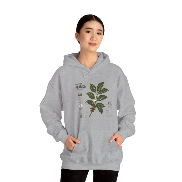 Coffee Plant Hoodie — Coffea Arabica Botanical Illustration Sweatshirt