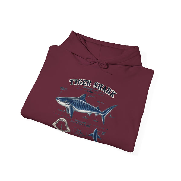 Tiger Shark Anatomy Hoodie — Nautical Science Graphic Pullover
