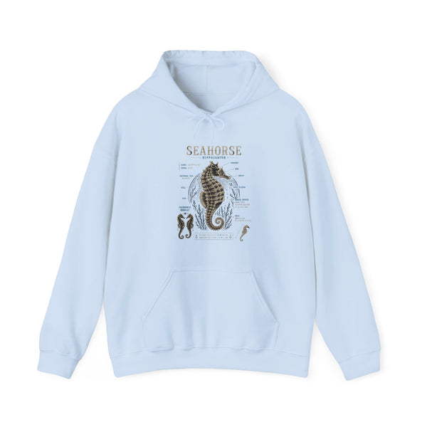 Seahorse Anatomy Hoodie — Vintage Marine Illustration Sweatshirt