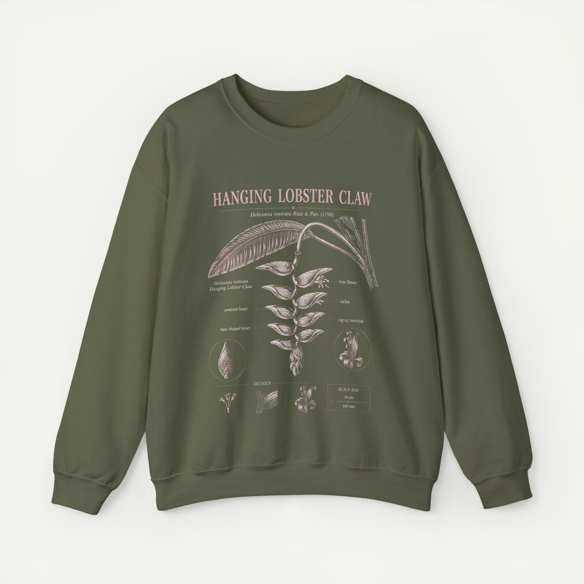 Botanical 'Hanging Lobster Claw' Sweatshirt – Vintage Tropical Plant Illustration
