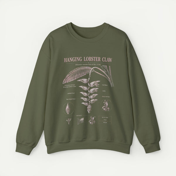 Botanical 'Hanging Lobster Claw' Sweatshirt – Vintage Tropical Plant Illustration