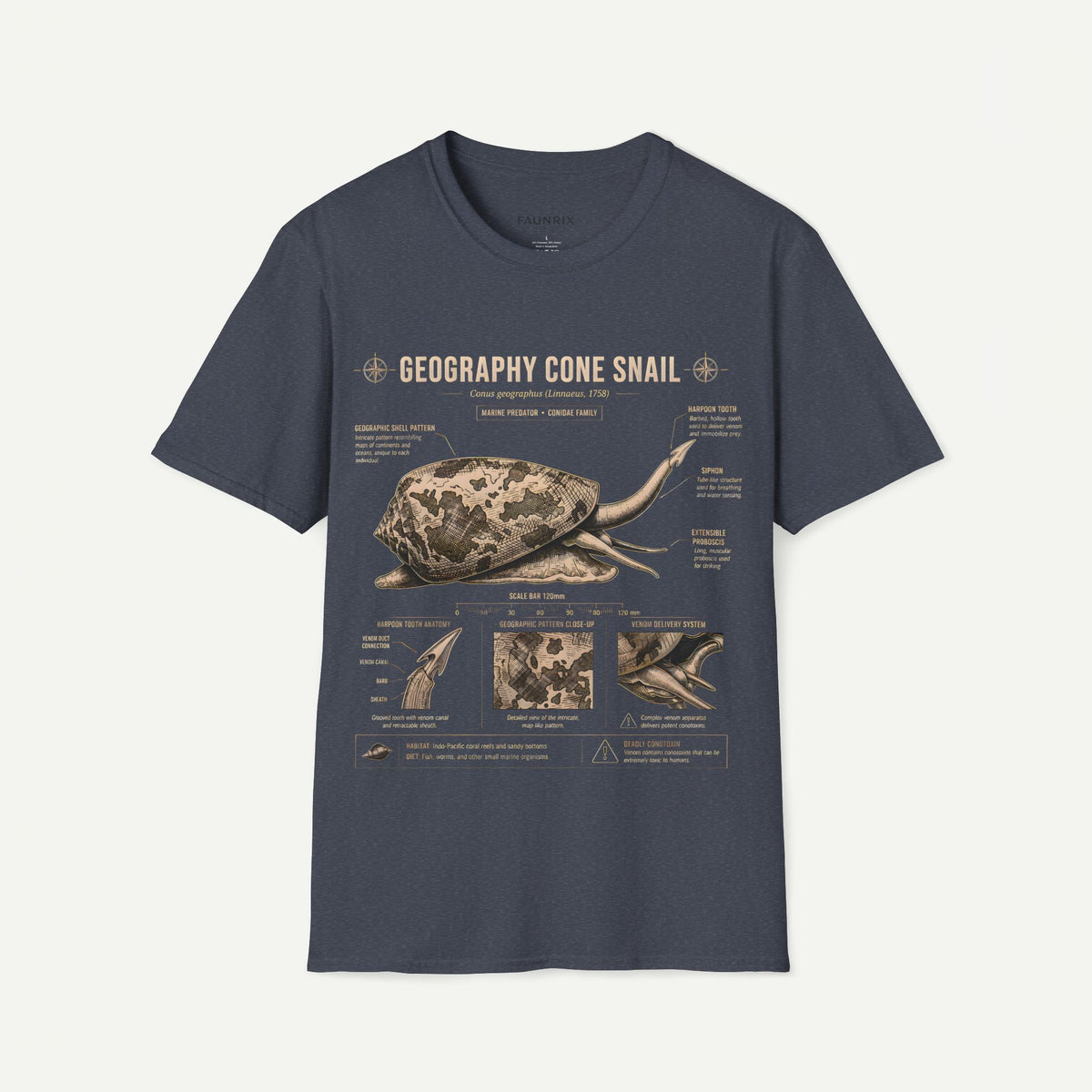 Geography Cone Snail Anatomy T-Shirt — Vintage Scientific Illustration Tee