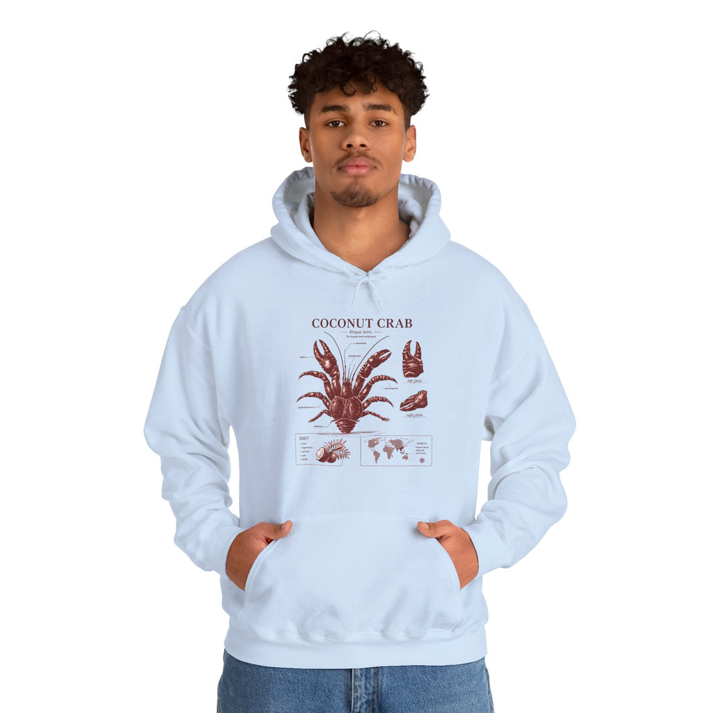 Coconut Crab Anatomy Hoodie — Vintage Botanical & Marine Study Print