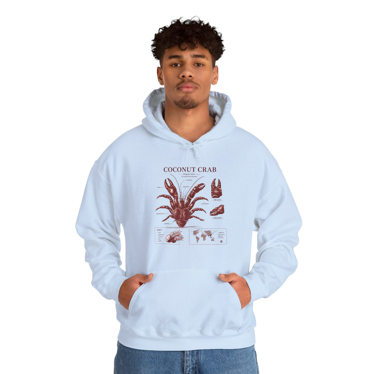 Coconut Crab Anatomy Hoodie — Vintage Botanical & Marine Study Print