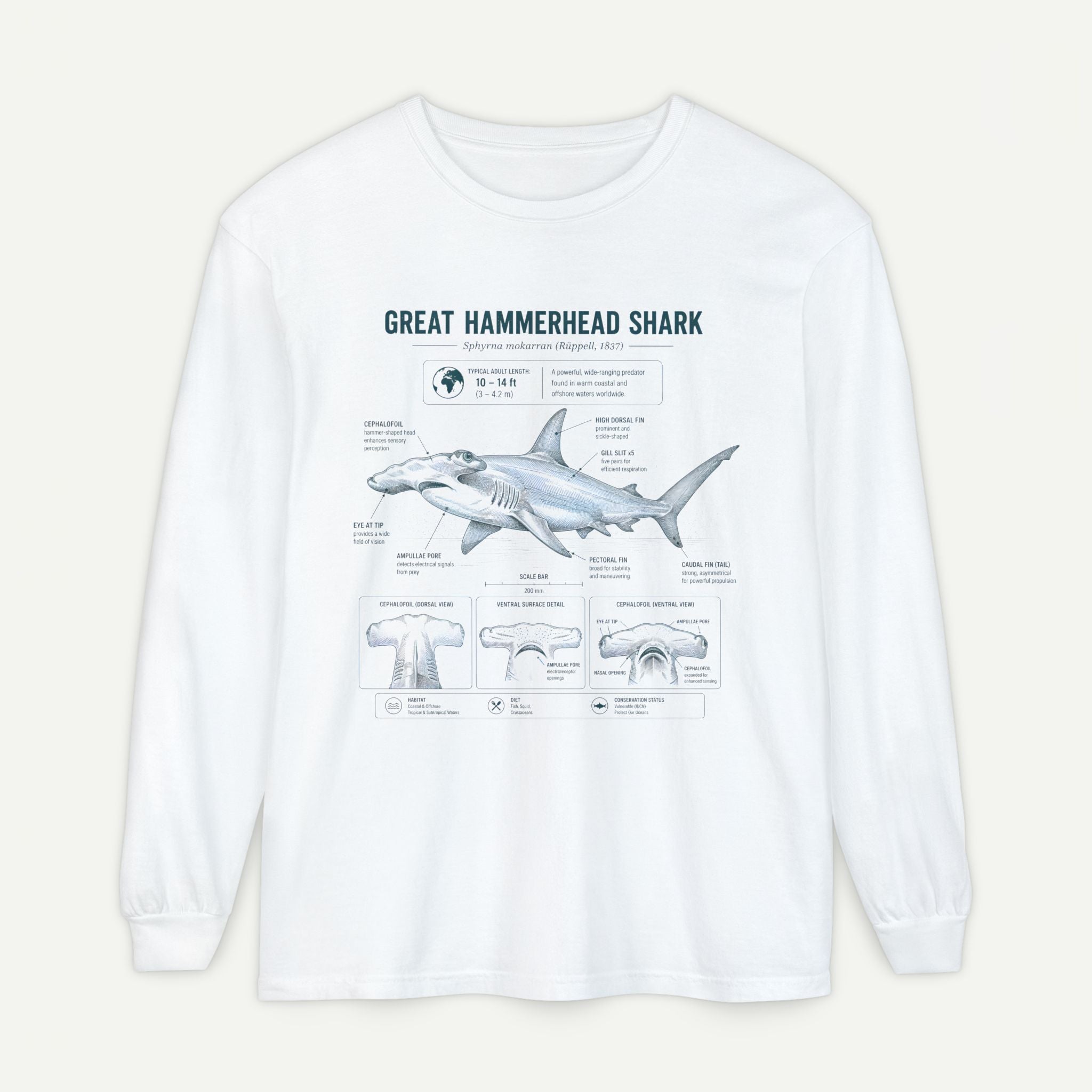 Great Hammerhead Shark Anatomy Long Sleeve Tee Secondary image