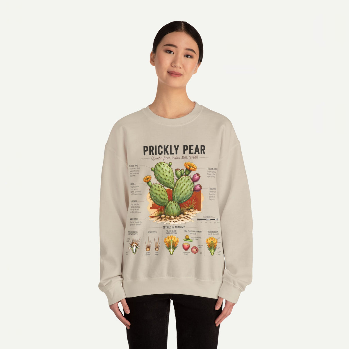 Prickly Pear Botanical Sweatshirt — Cactus Illustration Guide Crewneck
